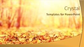  Presentation with autumn - Presentation consisting of fall-season-blurred-background background and a cream colored foreground