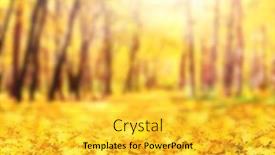  Presentation with sunny fall - Presentation with fall-season-blurred-background background and a yellow colored foreground