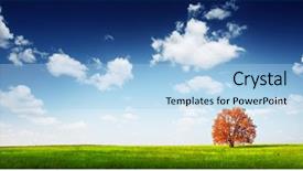  Presentation with autumn blue - PPT layouts with fall skies space - alone red autumn tree background and a light blue colored foreground