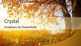  Presentation with autumn blue - Colorful PPT theme enhanced with fall skies space - big autumn oak with red backdrop and a blonde colored foreground