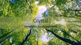  Presentation with holy mass opening - Colorful theme enhanced with fall skies space - opening between branches backdrop and a  colored foreground