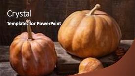  Presentation with fall leaves - Beautiful theme featuring fall-still-life-with-pumpkins backdrop and a wine colored foreground