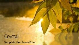  Presentation with reflection - Presentation with fall themes - golden autumn theme with leafs background and a yellow colored foreground