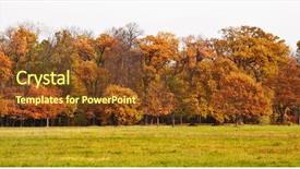  Presentation with fall - Beautiful slides featuring fall trees - autumn landscape backdrop and a tawny brown colored foreground