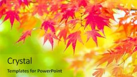  Presentation with green maple leaves - Slide set featuring jumping and gesturing against background background and a light gray colored foreground