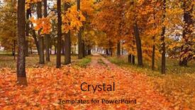  Presentation with fall - Presentation theme having fall trees - autumn park background and a gold colored foreground