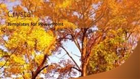  Presentation with fall leaves - 