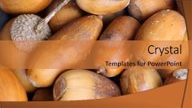  Presentation with oak tree - Amazing PPT layouts having fallen acorns from an oak backdrop and a gold colored foreground