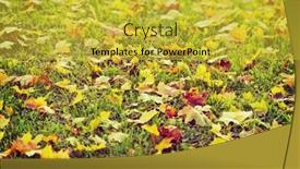  Presentation with autumn leaves - Theme featuring atumn - fallen autumn leaves on grass background and a yellow colored foreground