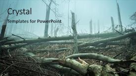  Presentation with storm - Colorful PPT layouts enhanced with fallen by storm trees in forest backdrop and a light blue colored foreground