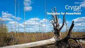  Presentation with new years - Theme consisting of fallen-dead-tree background and a teal colored foreground