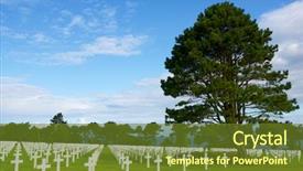  Presentation with hero - Amazing presentation having fallen hero - white crosses in american cemetery backdrop and a tawny brown colored foreground
