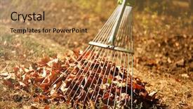  Presentation with dead leaves - PPT theme enhanced with fallen leaves and rake background and a gold colored foreground