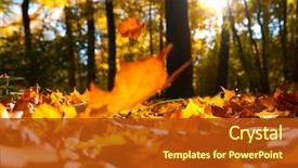  Presentation with autumn leaves - PPT theme with fallen leaves in autumn forest background and a crimson colored foreground