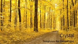  Presentation with autumn leaves - Cool new slide set with fallen leaves in autumn forest backdrop and a gold colored foreground