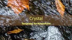  Presentation with raven - Theme consisting of fallen-leaves-under-water background and a tawny brown colored foreground