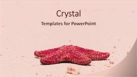  Presentation with 5 star - Presentation enhanced with fallen star dropped from heaven background and a lemonade colored foreground