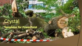  Presentation with bad weather - Slide set enhanced with fallen-tree-broken-branches-fenced and a tawny brown colored foreground