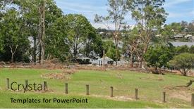  Presentation with storm - Slides enhanced with fallen-trees-and-debris and a yellow colored foreground