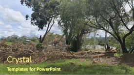  Presentation with storm - Slide set having fallen-trees-and-debris and a tawny brown colored foreground