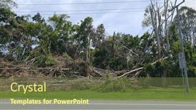  Presentation with storm - PPT layouts having fallen-trees-and-debris and a tawny brown colored foreground