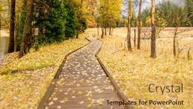  Presentation with autumn morning - PPT theme featuring fallen yellow autumn leaves on the boardwalk meadow in yosemite national park valley at cloudy autumn morning low clouds lay in the valley california usa background and a yellow colored foreground