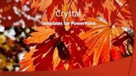  Presentation with autumn leaves falling - Presentation featuring falling-autumn-maple-japanese-leaves background and a crimson colored foreground