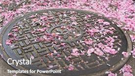  Presentation with sewer - Audience pleasing slides consisting of falling cherry blossom petals backdrop and a gray colored foreground