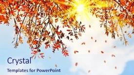  Presentation with autumn leaves falling - Slide deck with falling down old leaves background and a sky blue colored foreground