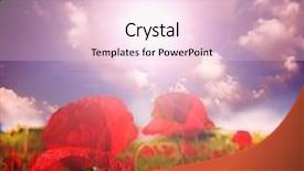  Presentation with red hibiscus rosa sinensis flower - Slides having falling flowers tree - red poppy flower background and a  colored foreground