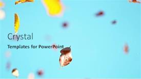  Presentation with autumn leaves falling - PPT theme consisting of falling-golden-autumn-beech-leaves background and a arctic colored foreground