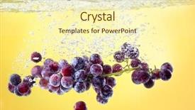  Presentation with water tank - Colorful PPT theme enhanced with falling grapes fruits to tank with water background backdrop and a cream colored foreground