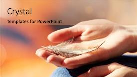 Presentation with feather - Beautiful PPT layouts featuring falling knees - hands holding a feather backdrop and a  colored foreground