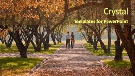  Presentation with autumn leaves falling - Slide deck featuring falling leaves - autumn in public garden young background and a tawny brown colored foreground