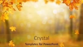  Presentation with leaves falling - Presentation design featuring falling-leaves-natural-background-beautiful background and a gold colored foreground