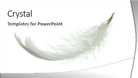  Presentation with feather - Slides featuring falling objects - white goose feather isolated background and a white colored foreground