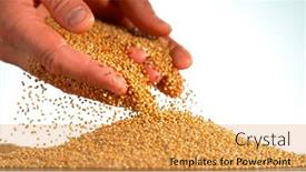  Presentation with millet - Slide set with falling-of-grain-millet background and a yellow colored foreground