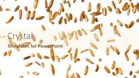  Presentation with shot - Slides having falling-of-grain-oats-close background and a cream colored foreground