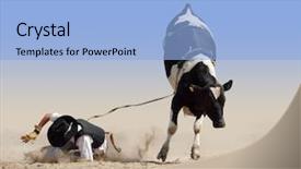  Presentation with cowboy - Beautiful presentation theme featuring winter in salzburg view from top of old castle on city backdrop and a gray colored foreground