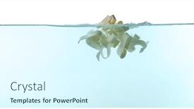  Presentation with pasta - Colorful presentation design enhanced with falling-pasta-in-water backdrop and a cool aqua colored foreground