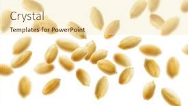  Presentation with peanuts - Colorful PPT theme enhanced with falling-peanuts-against-white-background backdrop and a cream colored foreground