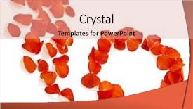  Presentation with frame border - Amazing theme having falling roses - floral border frame with copy backdrop and a coral colored foreground