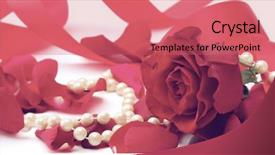  Presentation with white rose - Slides featuring falling roses - red rose petals isolated background and a coral colored foreground