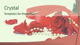  Presentation with white rose - Beautiful slide set featuring falling roses - red rose petals isolated backdrop and a cream colored foreground