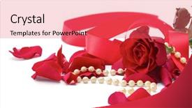  Presentation with white rose - Colorful PPT theme enhanced with falling roses - red rose petals isolated backdrop and a coral colored foreground