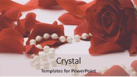  Presentation with red and white rose petals - Presentation design with falling roses - rose petals isolated on white background and a coral colored foreground