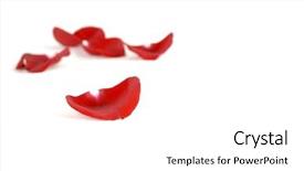  Presentation with love romance - Cool new theme with falling roses - rose petals representing love backdrop and a white colored foreground