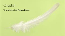 Presentation with light green - PPT layouts consisting of falling-white-delicate-bird-feather background and a soft green colored foreground