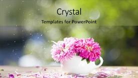  Presentation with pink flowers - Amazing PPT theme having falling yellow petals - beautiful pink aster flowers backdrop and a yellow colored foreground