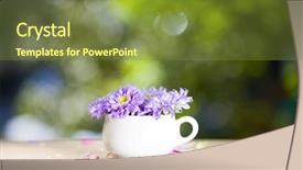  Presentation with purple orchids pink flowers orchid - Cool new presentation theme with falling yellow petals - beautiful pink aster flowers backdrop and a  colored foreground